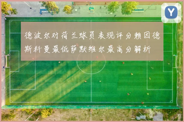 德波尔对荷兰球员表现评分赖因德斯科曼最低萨默维尔最高分解析